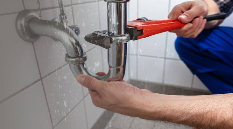 Leak Detection Services in Zwingle, IA